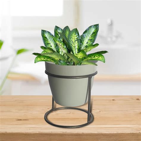 Justoriginals Rustic Silver Metal Stand for 1 Big Size White Metal pots ...