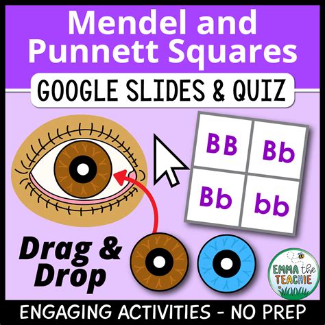 Mendel Punnett Square Mendel With Punnett Square, Illustration By
