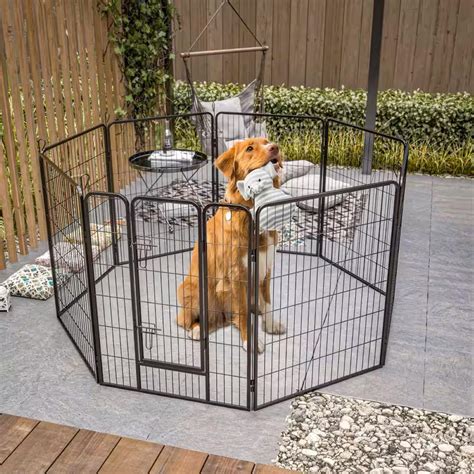 How To Build A Cheap Dog Fence | Storables
