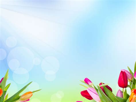Bing Wallpaper Flowers 的图像结果