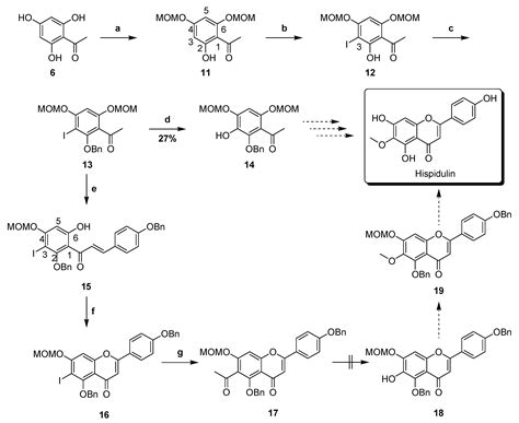 Total Synthesis and Metabolic Stability of Hispidulin and Its d ...