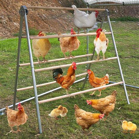 Chicken Perch for Coop, Large Chicken Roosting Bars/Ladder for Backyard ...