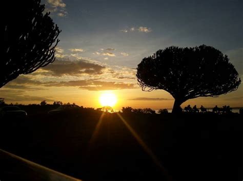 The Dunga Hill Camp, kisumu, Kenya - Top Attractions, Things to Do ...