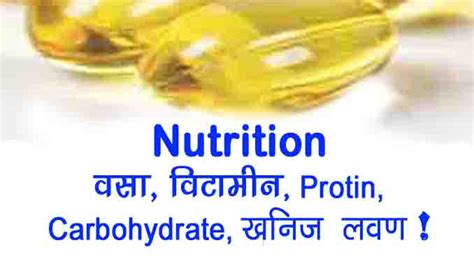 Nutrition प्रोटीन, वसा, कार्बोहाइड्रेट, विटामिन, खनिज लवण क्या है ...