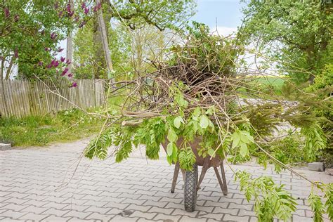 Image result for Yard Waste Disposal