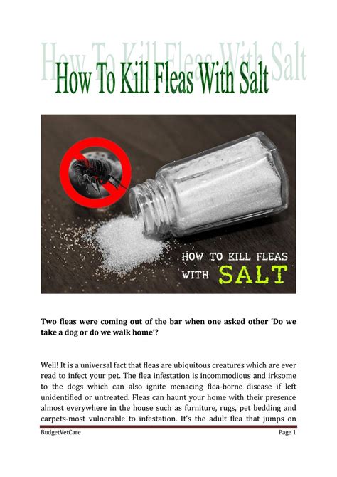 Does Salt Kill Fleas? DIYs for using Salt to kills Fleas ...