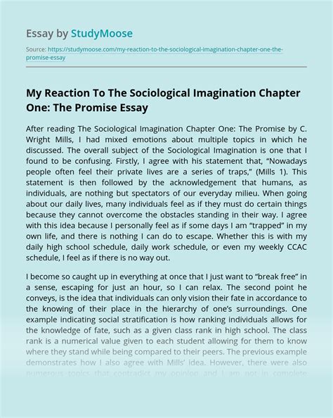 essay examples: Sociological Imagination Essay