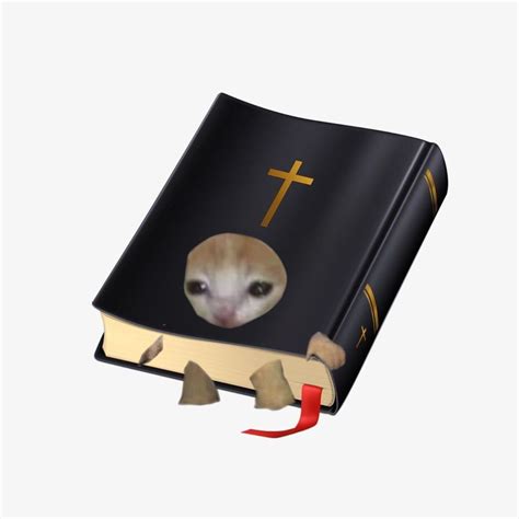 bible cat | Смешные котята, Котята, Милые рисунки