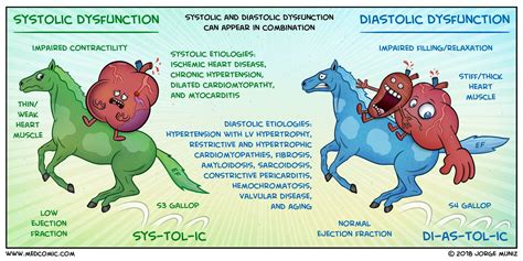 Systolic vs Diastolic Dysfunction | Heart failure nursing, Diastolic heart failure, Heart failure