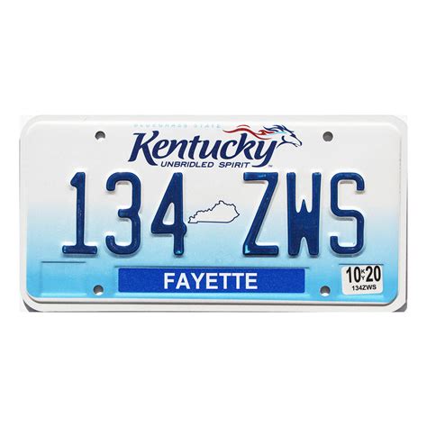 2020 Kentucky License Plate #134ZWS | Real Expired KY Plates