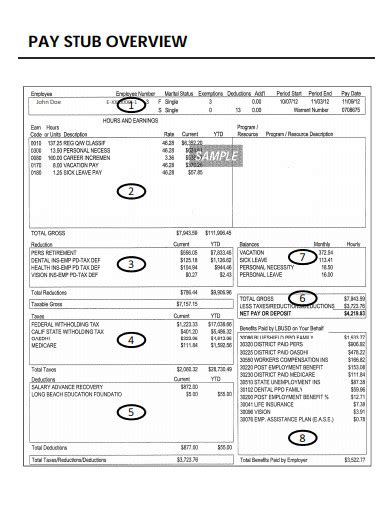 15+ Pay Stub Examples to Download