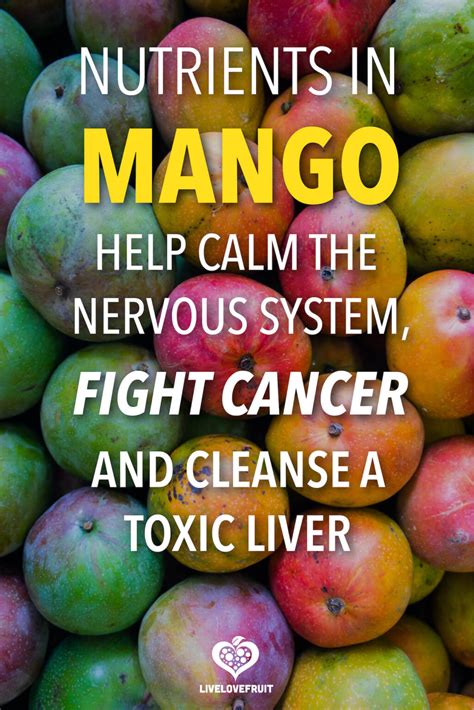 8 Surprising Health Benefits of Mango - Live Love Fruit
