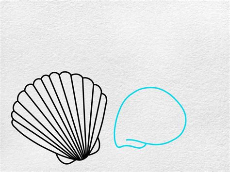 Shell Drawing 的图像结果