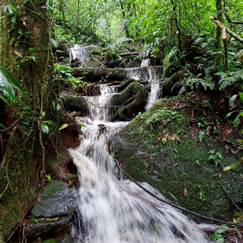 ECOPORO RAIN FOREST (2026) All You Need to Know BEFORE You Go (with ...