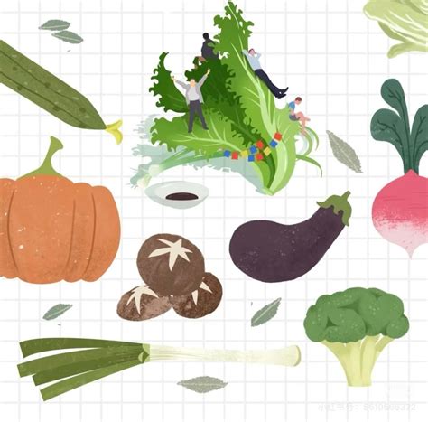 吃素的买什么礼物最新素材