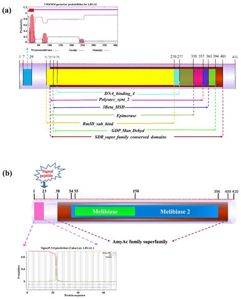 Cloning and Characterization of Three Sugar Metabolism Genes (LBGAE ...