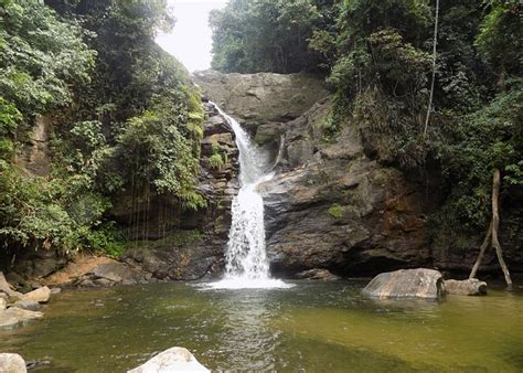 Cachoeiras de Macacu Tourism (2022): Best of Cachoeiras de Macacu ...
