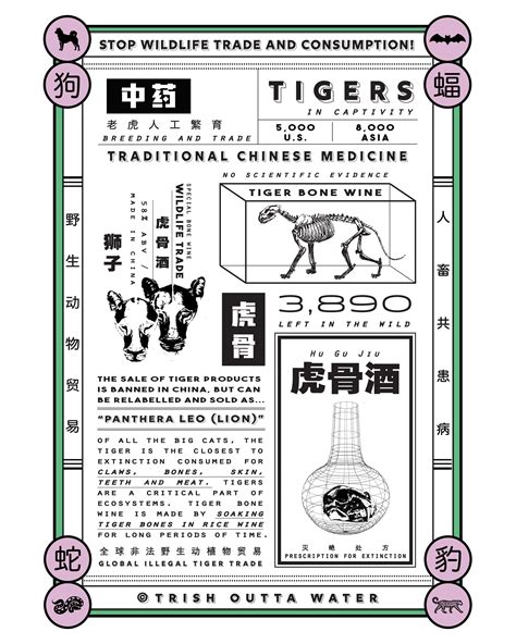 Wildlife Trade & Zoonosis — TRISH OUTTA WATER