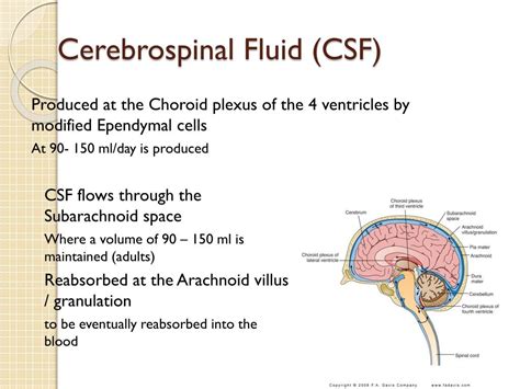 Image result for CSF Tutorial