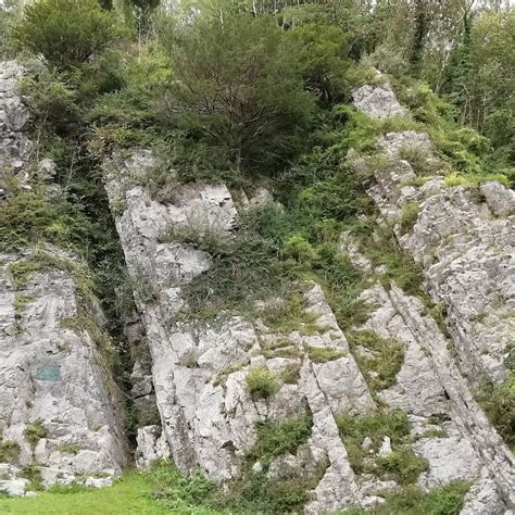 BURRINGTON COMBE (2026) All You Need to Know BEFORE You Go (with Photos ...