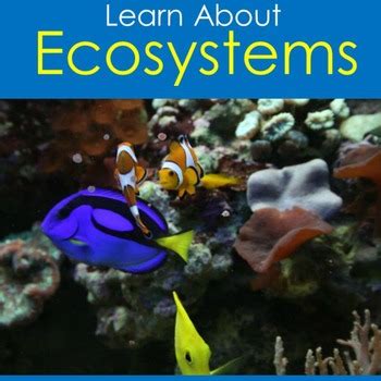 Free Science Lessons Ecosystem 的图像结果