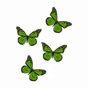 Image result for Sage Green Aesthetic Stickers Transparent