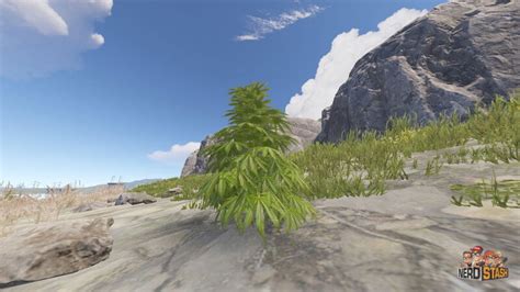 Rust Cloth Farm Guide 的图像结果