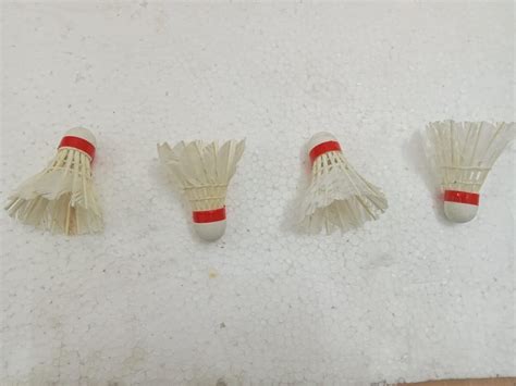 Shuttlecock 的图像结果