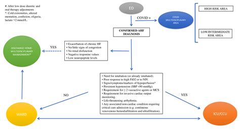 Acute Heart Failure: Diagnostic–Therapeutic Pathways and Preventive ...
