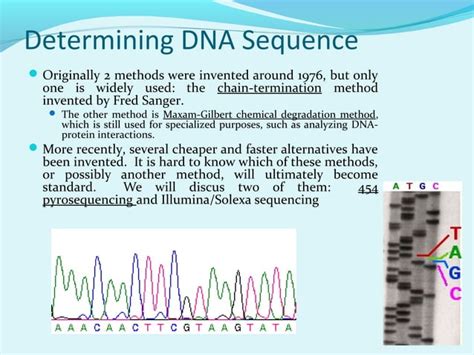 DNA Sequencing Methods 的图像结果