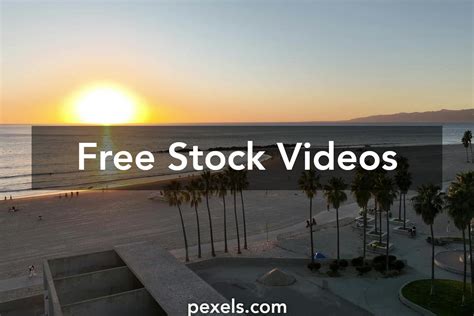 Royalty Free Stock Footage 的图像结果