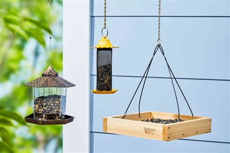 Best Selling Bird Feeder The Best Bird Feeders | Tested & Rated