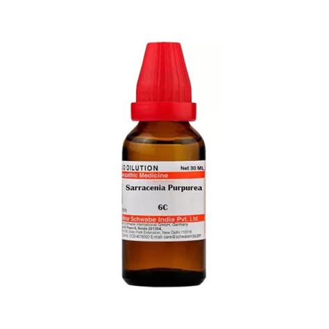 Buy Homoeomeds SARRACENIA PURPUREA 6C 30 ML SCHWABE Online at Low ...