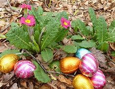 Image result for Easter Egg Crafts