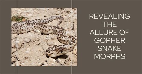 Image result for How to Debug Red Letters in Java