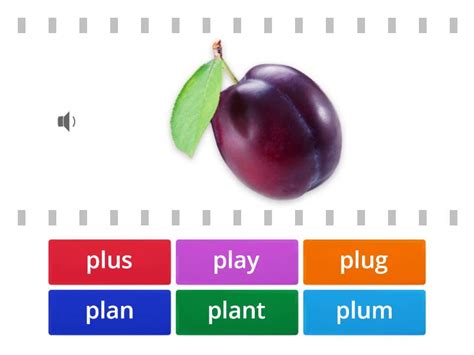 Example of PL Words 的图像结果