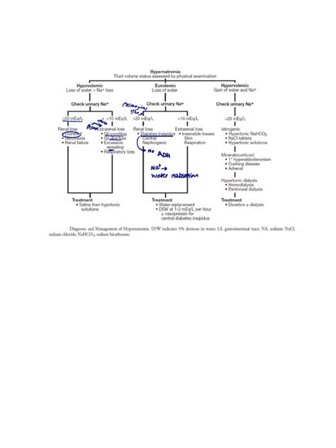 Hypernatremia Algorithm 的图像结果