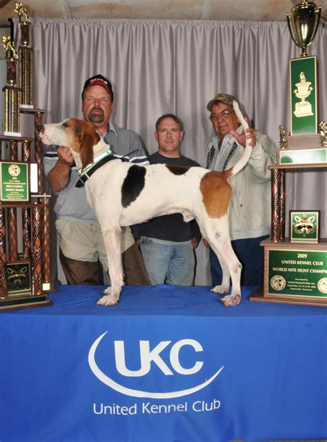 Coonhound World Championship Historical Winners List | United Kennel ...