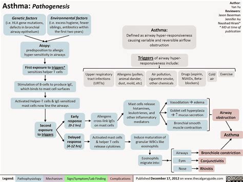 Adult Emergency Medicine: Asthma - Pathophysiology and Clinical Signs