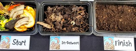 Living Green Events for November