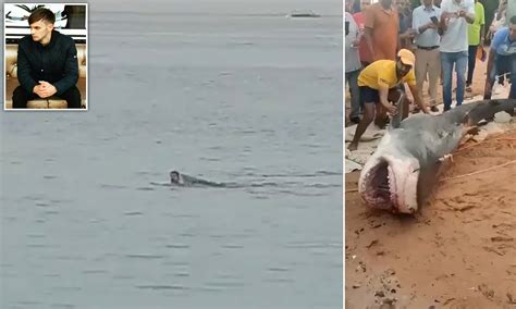 Graphic Shark Attack Photos