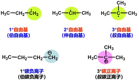 Algorithm Engineering 的图像结果