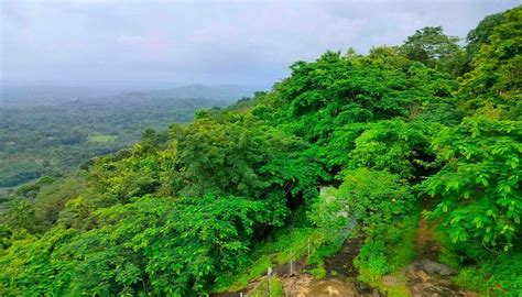 KOORUMALA VIEW POINT PIRAVOM (2026) All You Need to Know BEFORE You Go ...