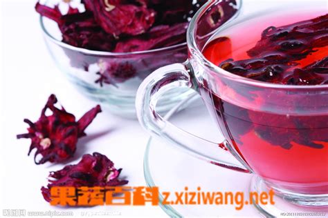 洛神花茶的泡法_茶知识_做法,功效与作用,营养价值z.xiziwang.net