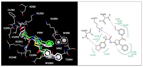 Journey on VX-809-Based Hybrid Derivatives towards Drug-like F508del ...