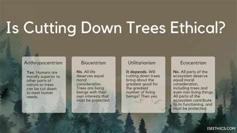 Image result for Environmental Ethics Example