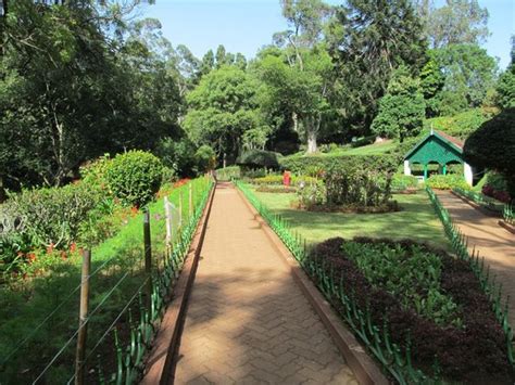 Sim`s Park (Coonoor) - 2019 What to Know Before You Go (with Photos ...