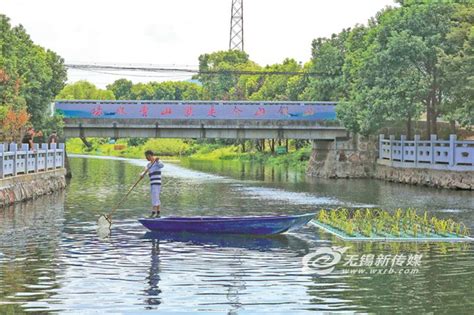 无锡新吴区域水网生态修复初显成效 人水和谐共建美丽河湖 - 中国日报网