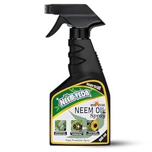 Neem Veda Organic neem oil spray for plants, Chemical-Free Natural ...