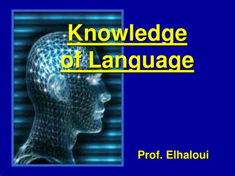 Language Information and Knowledge 的图像结果
